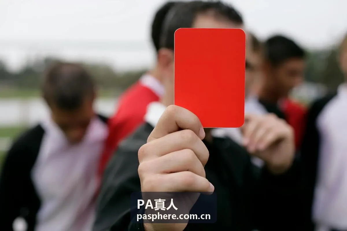 PA真人商务支持会议陪同场景